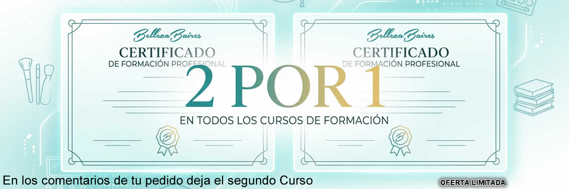 2x1