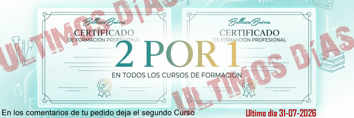 2x1