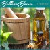Curso Online de Tinturas Madres