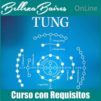 Curso de Master en Auriculoterapia TUNG - CON REQUISITOS