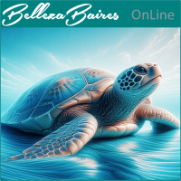 Curso Online de Empoderamiento de la Tortuga