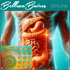 Curso Online de Mesa Radionica del Sistema Digestivo 1