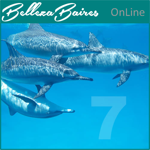 Curso Online de Masaje Atlante Relajante