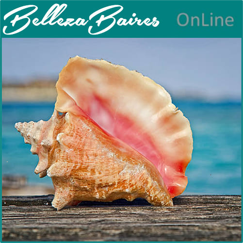 Curso Online de Empoderamiento Majestuoso de la Concha