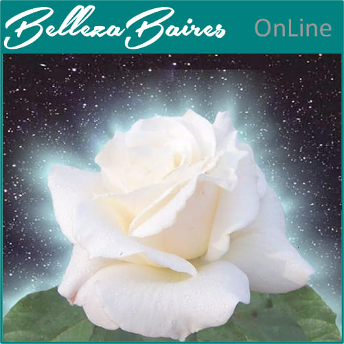 Curso Online de Sanación con Rosas