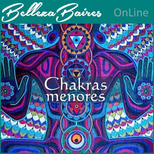 Curso Online de Chakras Secundarios mas Importantes