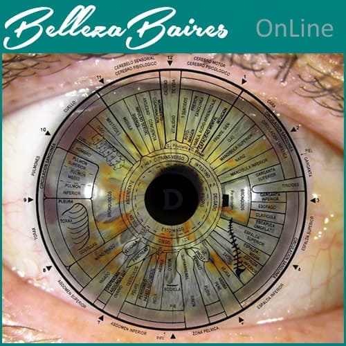 Curso Online de Iriología/Iridología