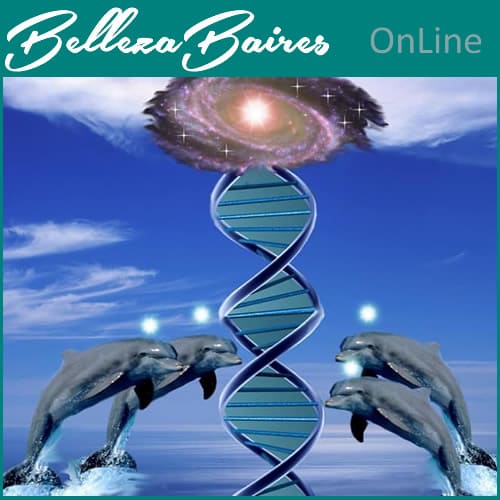 Curso Online de Sistema Delfinico de Sanación y Equilibrio