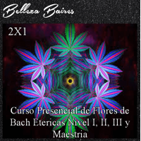 Curso Presencial de Flores de Bach Etericas Nivel 1, 2, 3 y Maestría