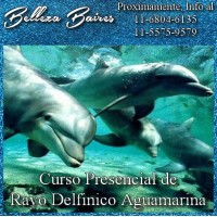 Curso Presencial de Rayo Delfinico Aguamarina